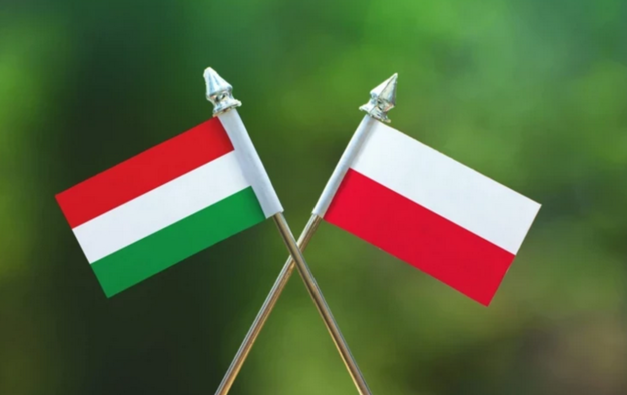 Польща та Угорщина не з'явилися на зустріч по українському зерну